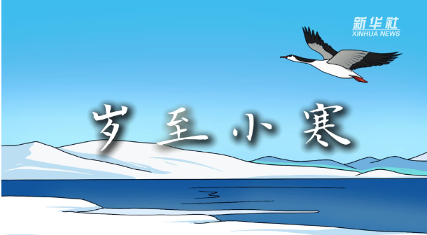 创意手绘动画：岁至小寒